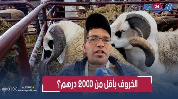 الثمن ماطالعش هاد العام.. هل نشهد أرخص عيد أضحى منذ عقد؟