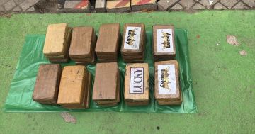 إحباط تهريب 30 صفيحة من الكوكايين عبر ميناء طنجة المتوسط