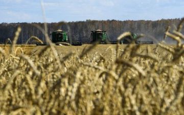 أسعار القمح تقفز لأعلى مستوياتها منذ 2024 بسبب مخاوف الجفاف والتضخم