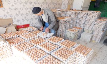 أسواق البيض بالمغرب تتنفس الصعداء