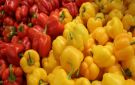 المغرب يرفع صادرات الفلفل الحلو نحو بريطانيا بنمو غير مسبوق