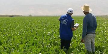كوسومار ش.م وسونابيل وسوتا تحصل على تجديد علامة المسؤولية الإجتماعية للمقاولات من طرف CGEM 