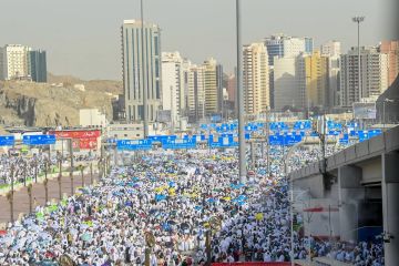 هل انتشر فيروس هانتا بين الحجاج؟ هل انتشر فيروس هانتا بين الحجاج؟