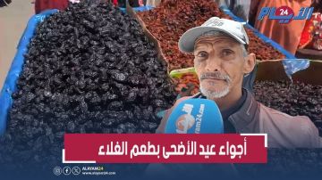 أجواء عيد الأضحى بطعم الغلاء.. أسعار الفواكه الجافة ترهق جيوب المواطنين (فيديو) أجواء عيد الأضحى بطعم الغلاء.. أسعار الفواكه الجافة ترهق جيوب المواطنين (فيديو)