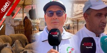 مراقبة القطيع بسوق الرحبة بتيكيوين.. توجيهات طبية مهمة للمغاربة لضمان سلامة الأضحية -فيديو مراقبة القطيع بسوق الرحبة بتيكيوين.. توجيهات طبية مهمة للمغاربة لضمان سلامة الأضحية -فيديو