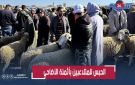 الحبس والغرامة ومصادرة الأضحية.. قرار صارم ضد شناقة الأغنام - ma
