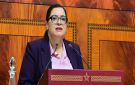بنعزيز: الأحرار لا يحصر ملاحظات مجلس الحسابات في زاوية الخروقات