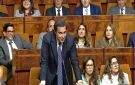 عوكاشا يدعو إلى الترفع عن المزايدات السياسية والانتصار لانشغالات المغاربة