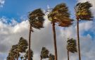 طقس الجمعة.. غيوم ورياح قوية بهذه المناطق المغربية