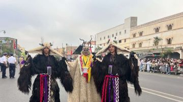 المغربيات يقتحمن طقوسا كانت حكرا على الرجال (فيديو) المغربيات يقتحمن طقوسا كانت حكرا على الرجال (فيديو)