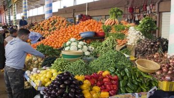 من بينها البصل والبطاطس.. تراجع طفيف في أسعار الخضر من بينها البصل والبطاطس.. تراجع طفيف في أسعار الخضر