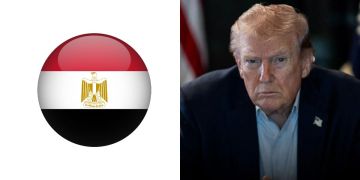 مدير المنتخب المصري: ترامب أشاد بمنتخب مصر وبأدائه في المونديال