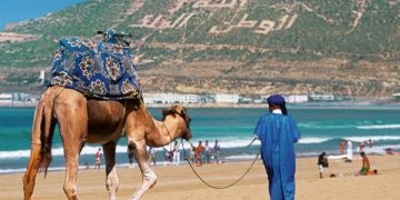 سياحة.. عائدات الأسفار بلغت 64,89 مليار درهم سياحة.. عائدات الأسفار بلغت 64,89 مليار درهم