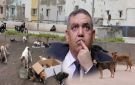 برلماني يطالب لفتيت بتسريع تنزيل قانون حماية الكلاب والحيوانات الضالة