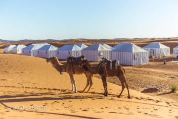 الصحراء المغربية.. وجهة جديدة للقوة الناعمة السينمائية السعودية الصحراء المغربية.. وجهة جديدة للقوة الناعمة السينمائية السعودية