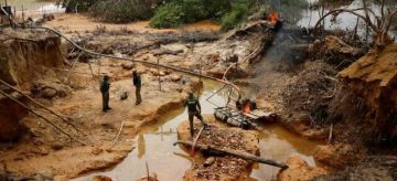 التعدين غير المشروع للذهب يتسبب في تسمم سكان الأمازون بالزئبق