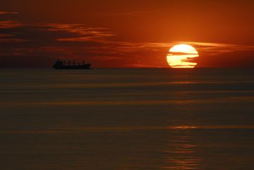 سلطنة عمان: تعرض ناقلة نفط لهجوم بواسطة زورق مسير