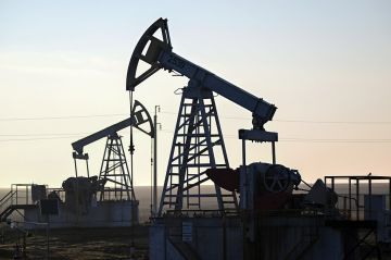 نوفاك: دول مجموعة أوبك الثماني ستزيد سقف إنتاج النفط بمقدار 206 آلاف برميل يوميا في مايو نوفاك: دول مجموعة أوبك الثماني ستزيد سقف إنتاج النفط بمقدار 206 آلاف برميل يوميا في مايو