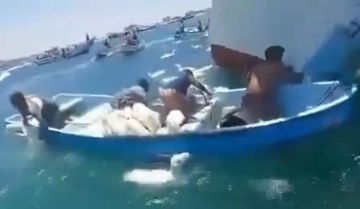 جنوح سفينة تحمل أغناما قبالة سلطنة عمان بعد هجوم بمسيرات .. ما حقيقة الفيديو؟ جنوح سفينة تحمل أغناما قبالة سلطنة عمان بعد هجوم بمسيرات .. ما حقيقة الفيديو؟
