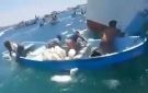 جنوح سفينة تحمل أغناما قبالة سلطنة عمان بعد هجوم بمسيرات .. ما حقيقة الفيديو؟