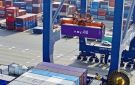  أسياد تضاعف إيراداتها إلى 713 مليون ريال خلال 10 أعوام