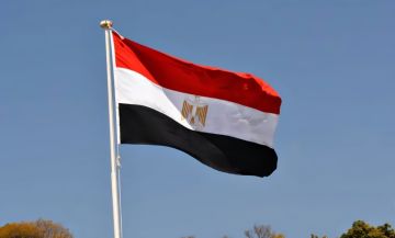 مصر: خطة ترامب فيها الكثير من الثغرات وتحتاج للنقاش مصر: خطة ترامب فيها الكثير من الثغرات وتحتاج للنقاش