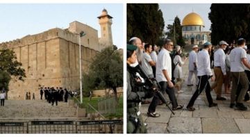 الأوقاف: الاحتلال اقتحم الأقصى 26 مرة ومنع الأذان بالحرم الإبراهيمي 92 وقتا الشهر الماضي