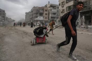 تقرير بين الركام والذاكرة... حكايات عودة إلى الشيخ رضوان تقرير بين الركام والذاكرة... حكايات عودة إلى الشيخ رضوان