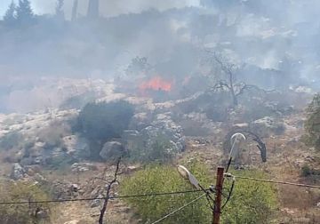 مستعمرون يحرقون 3 خيام في مسافر يطا جنوب الخليل مستعمرون يحرقون 3 خيام في مسافر يطا جنوب الخليل