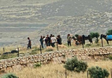 مستعمرون يهاجمون قاطفي الزيتون في بلدة عقربا جنوب نابلس مستعمرون يهاجمون قاطفي الزيتون في بلدة عقربا جنوب نابلس