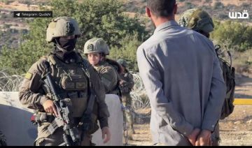 بالتزامن مع موسم الزيتون: تصاعد اعتداءات المستوطنين وجيش الاحتلال في الضفة الغربية 