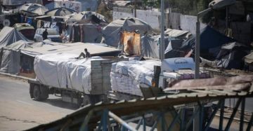 الأغذية العالمي: 137 شاحنة دخلت قطاع غزة لدعم المخابز وتوفير الغذاء