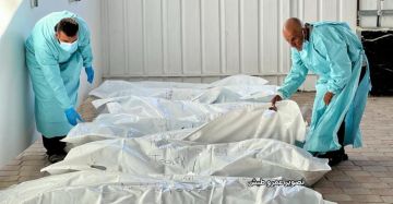 العالم يقاتل من أجل 11 جنديا إسرائيليا.. ويتجاهل 9500 مفقود فلسطيني تحت الركام العالم يقاتل من أجل 11 جنديا إسرائيليا.. ويتجاهل 9500 مفقود فلسطيني تحت الركام