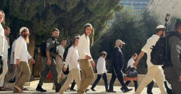 مستوطنون يقتحمون باحات الأقصى وسط قيود مشددة مستوطنون يقتحمون باحات الأقصى وسط قيود مشددة