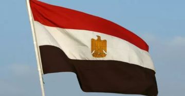 مصر: المرحلة الثانية من وقف النار بغزة يجب أن تبدأ فورا مصر: المرحلة الثانية من وقف النار بغزة يجب أن تبدأ فورا
