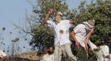 مستوطنون يسيطرون على كهف في مسافر يطا والاحتلال يعتقل مزارعا أثناء حراثة أرضه مستوطنون يسيطرون على كهف في مسافر يطا والاحتلال يعتقل مزارعا أثناء حراثة أرضه