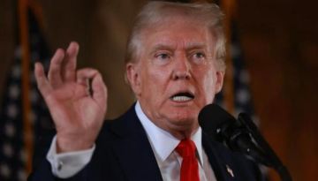 ترامب ينتظر رد حماس ومصر: خطة غزة تتضمن الكثير من الثغرات