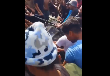 سمكة قرش حوت شوهدت قبالة سواحل إسرائيل وتم اصطيادها في قطاع غزة (فيديو) سمكة قرش حوت شوهدت قبالة سواحل إسرائيل وتم اصطيادها في قطاع غزة (فيديو)