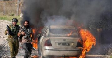 757 هجوما للمستوطنين بالضفة في نصف العام الجاري 757 هجوما للمستوطنين بالضفة في نصف العام الجاري