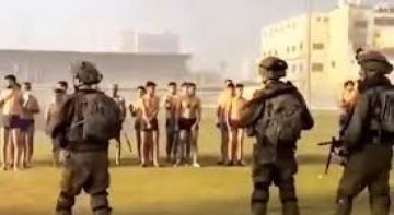 المركز الفلسطيني للمفقودين: استمرار الغموض حول مصير المفقودين في غزة يعد جريمة المركز الفلسطيني للمفقودين: استمرار الغموض حول مصير المفقودين في غزة يعد جريمة