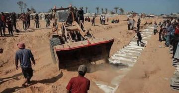 بالأسماء.. التعرف على 57 جثمانا من شهداء صفقة تبادل الأسرى بالأسماء.. التعرف على 57 جثمانا من شهداء صفقة تبادل الأسرى