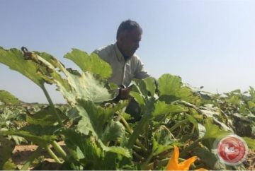 وزير الزراعة يكشف خطط دعم المزارعين في ظل موازنة أقل من 1 