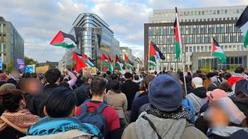 عشرات الآلاف يتظاهرون في برلين دعما لغزة
