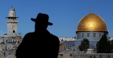 محافظة القدس تحذر من انهيار مفاجئ لأجزاء من المسجد الأقصى محافظة القدس تحذر من انهيار مفاجئ لأجزاء من المسجد الأقصى
