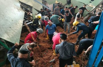 صور: إنقاذ 4 عمال من تحت أطنان من التمور في العراق صور: إنقاذ 4 عمال من تحت أطنان من التمور في العراق