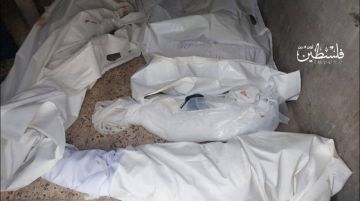 مركز حقوقي: جرائم الاحتلال في غزة استخفاف سافر بحياة المدنيين مركز حقوقي: جرائم الاحتلال في غزة استخفاف سافر بحياة المدنيين