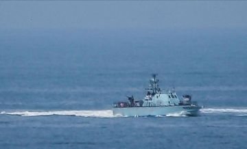 الاحتلال يبدأ في ترحيل ناشطي أسطول الصمود بعد اعتقالهم