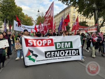 فيينا.. تظاهرة حاشدة تضاما مع فلسطين وغزة (صور)