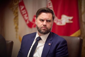 نائب الرئيس الأمريكي: وقف إطلاق النار في غزة سيصمد نائب الرئيس الأمريكي: وقف إطلاق النار في غزة سيصمد