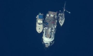 أسطول الصمود يقترب من شواطئ غزة أسطول الصمود يقترب من شواطئ غزة